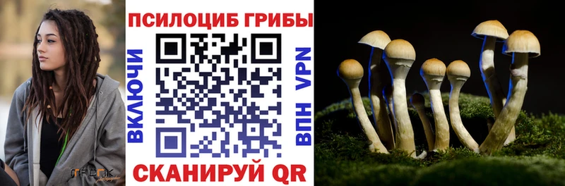 Купить где Волжск Галлюциногенные грибы Psilocybine cubensis
